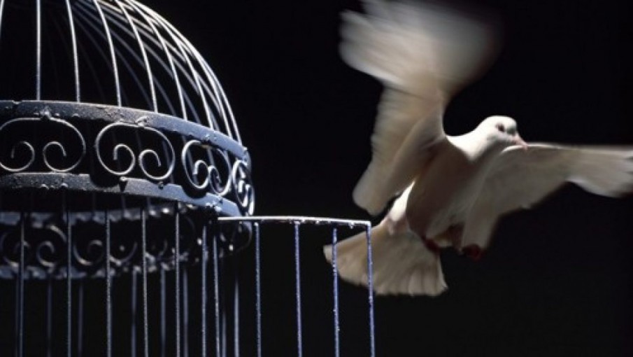 Las libertades son sagradas