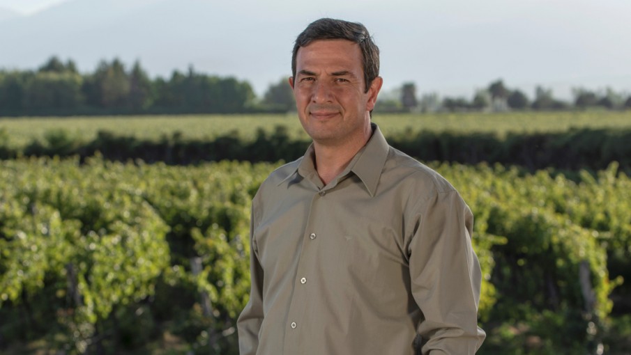 64bcffc678d81_905_510!