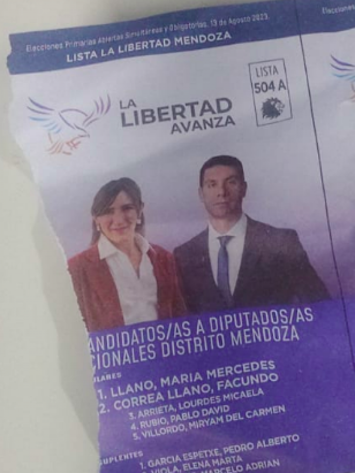 Qué pasó con las boletas de Milei en Mendoza, según el juez federal electoral - Noticias de Mendoza - Memo