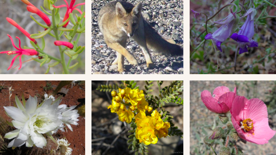 El área natural cerca de la Ciudad de Mendoza y con 200 millones de años de historia