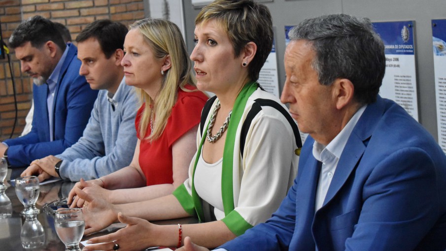 Dictamen y pase a votación para Malargüe Distrito Minero Occidental