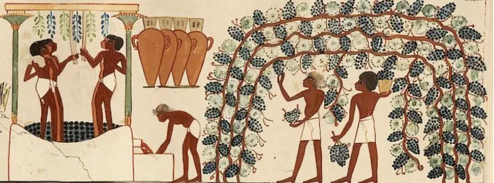 La historia del vino: un viaje a través de los tiempos
