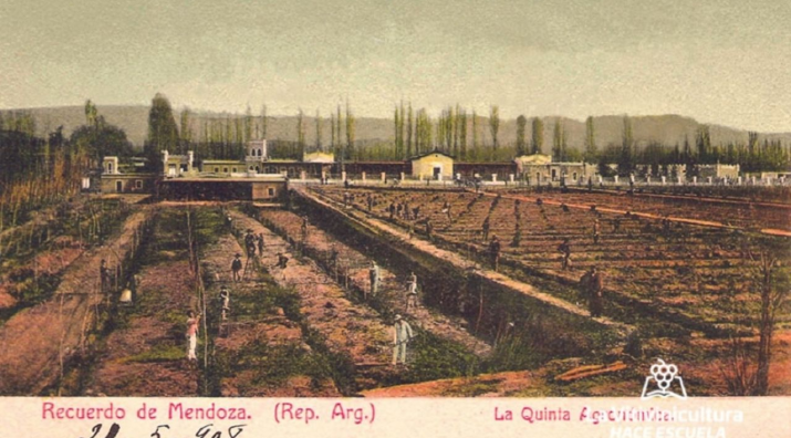 La Quinta Agronómica.