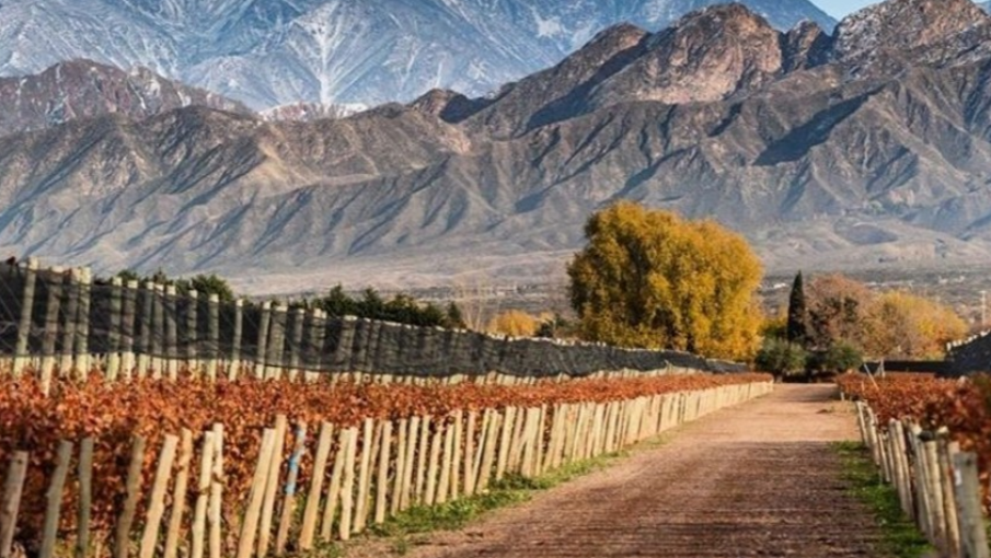 Enoturismo: en seis años creció un 57% la cantidad de bodegas ...